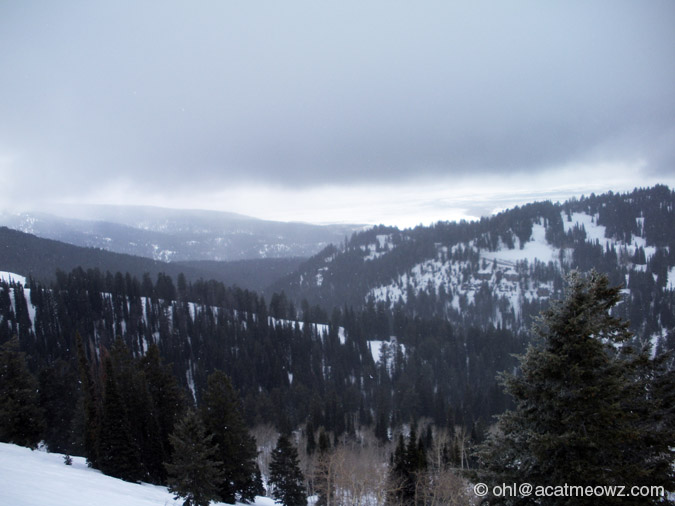 2010.03.22 1204p Targhee